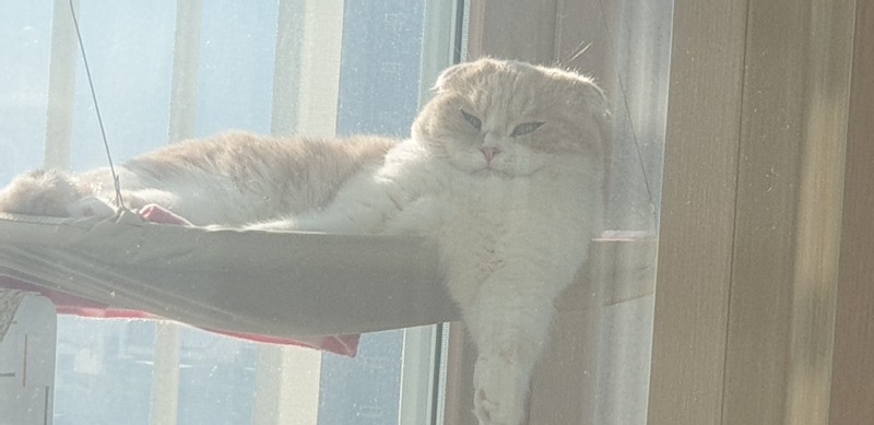 안녕하세요