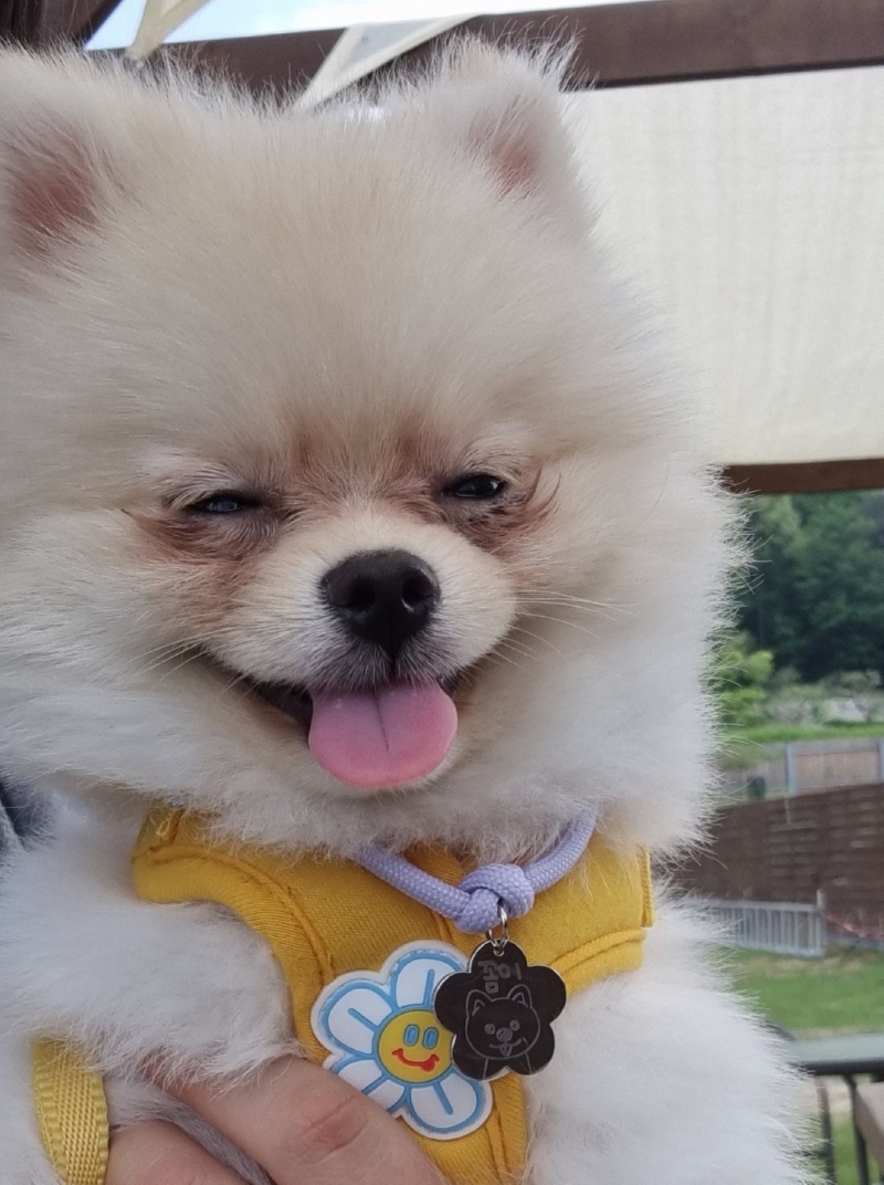 우리 꼼이를 소개합니다!