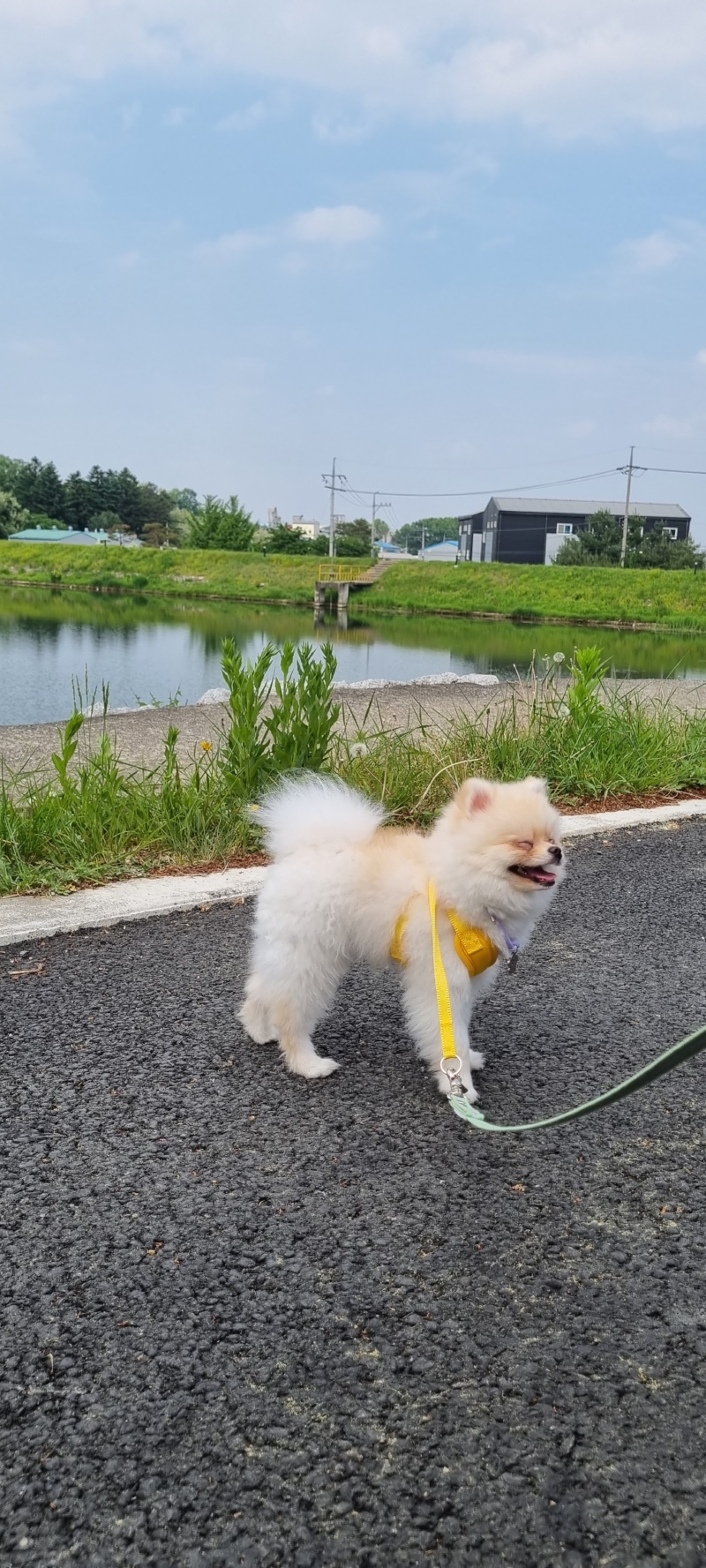 우리 꼼이를 소개합니다!