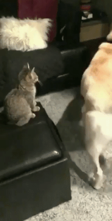 끔찍한 교통사고.gif