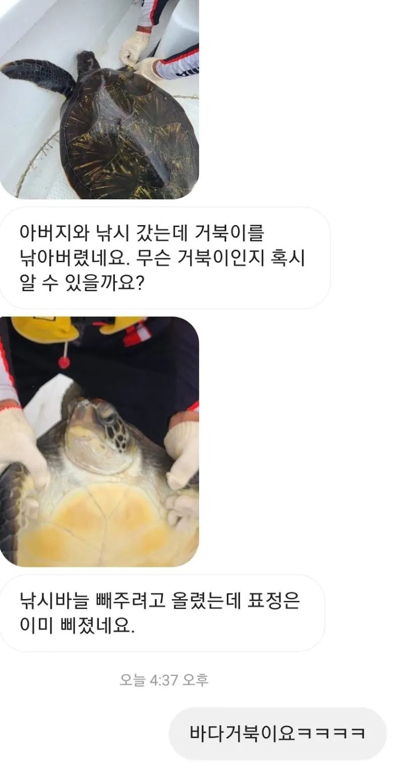 바다거북을 낚은 부자