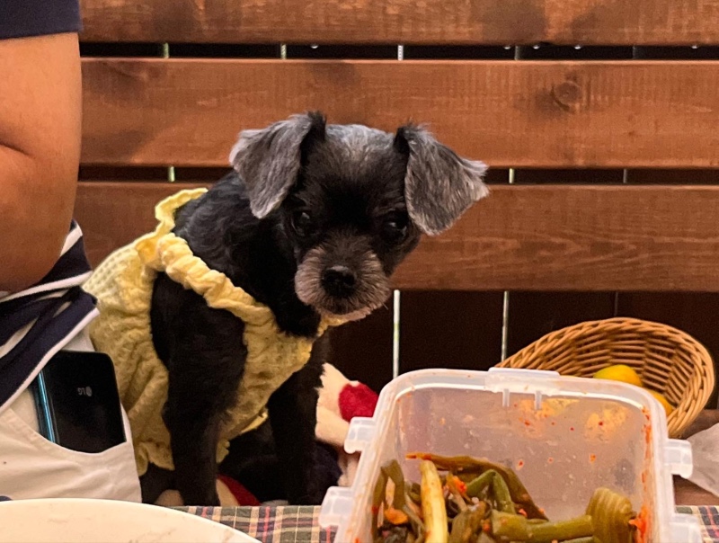 시리시리 귀염둥이