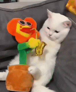 인내심이 대단한냥