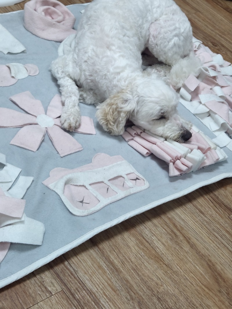 천사 같은 애기들 ♡