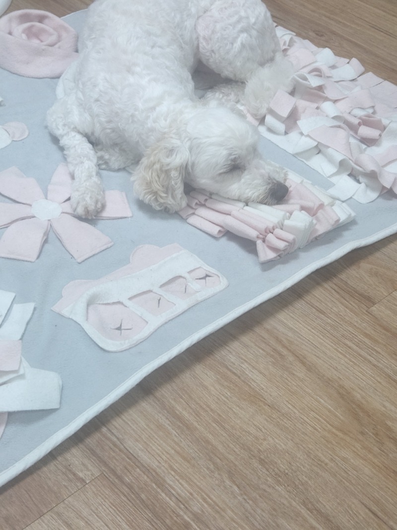 천사 같은 애기들 ♡