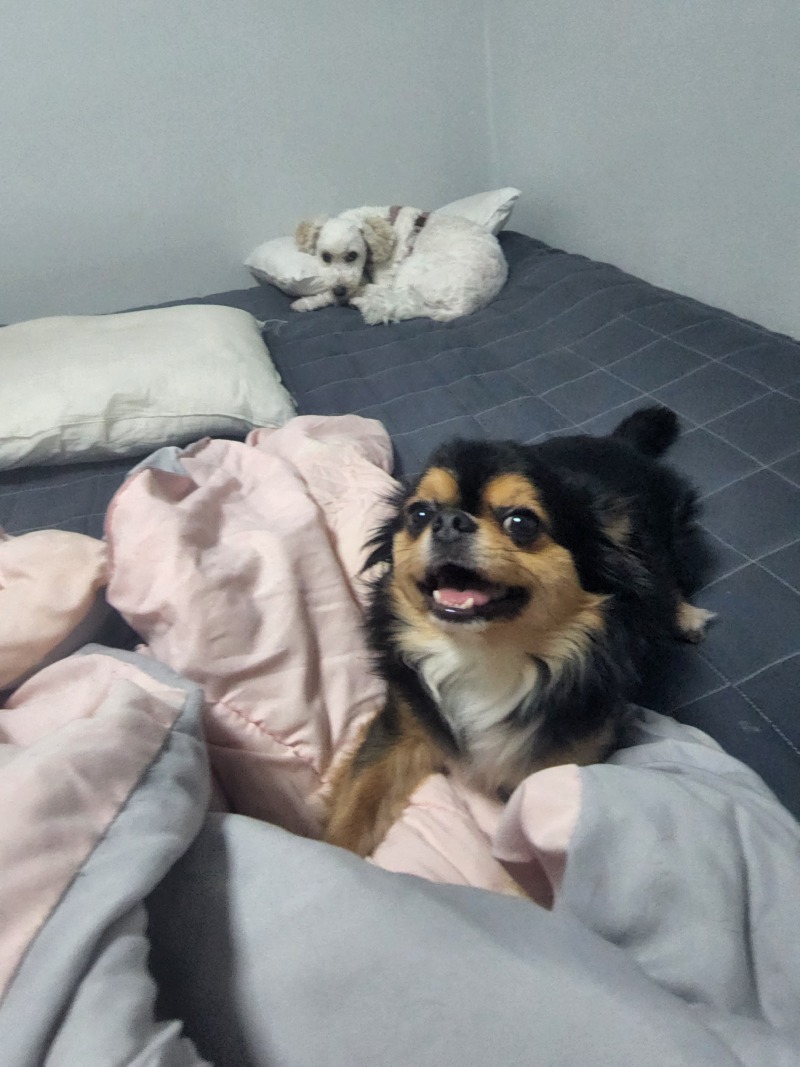 천사 같은 애기들 ♡