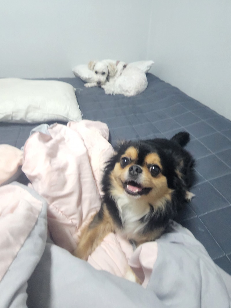 천사 같은 애기들 ♡