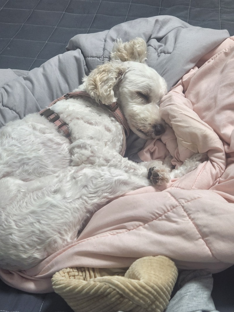 천사 같은 애기들 ♡