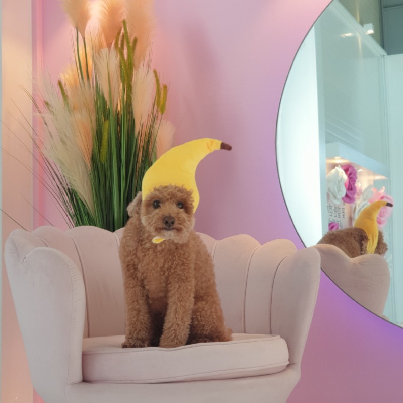 칠곡 퍼스펫 파크