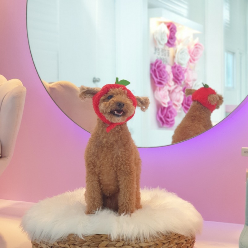 칠곡 퍼스펫 파크