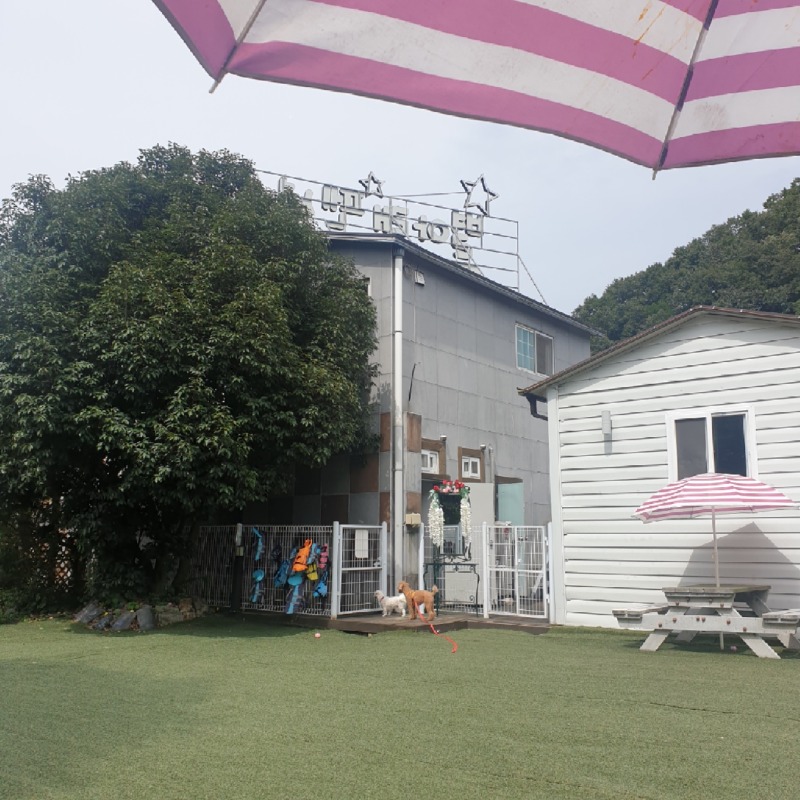 밀양 별아래 펜션 방문 후기!