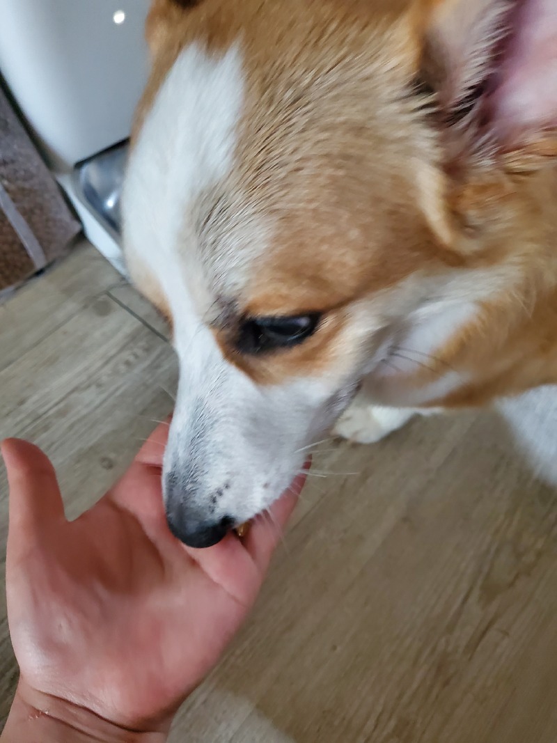 20220731_120902.jpg