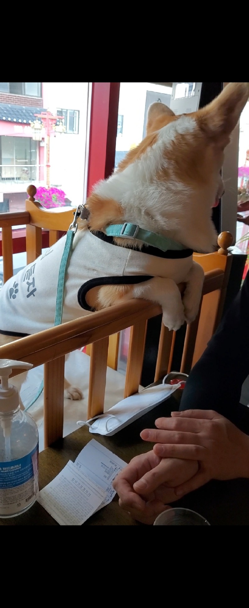 문차이나 애견동반 중식당