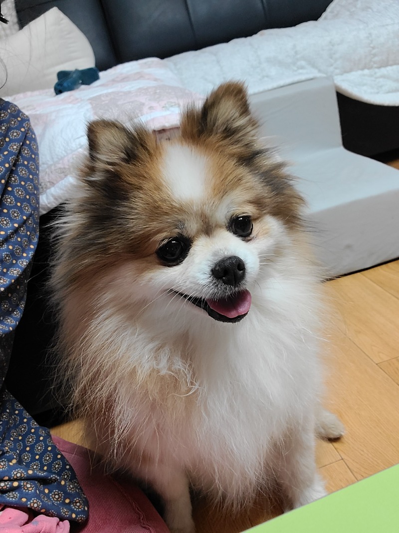 누나사랑 사랑이