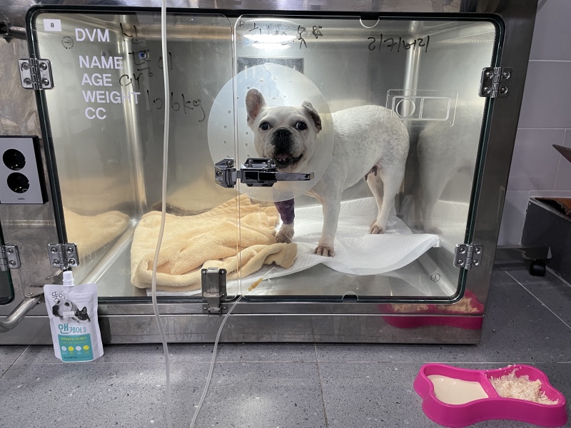 사직동물의료센터