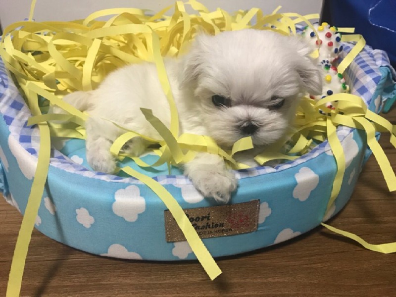 우유