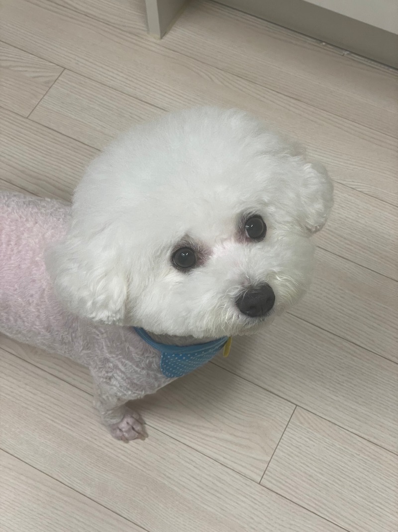 먹을거 달라구!