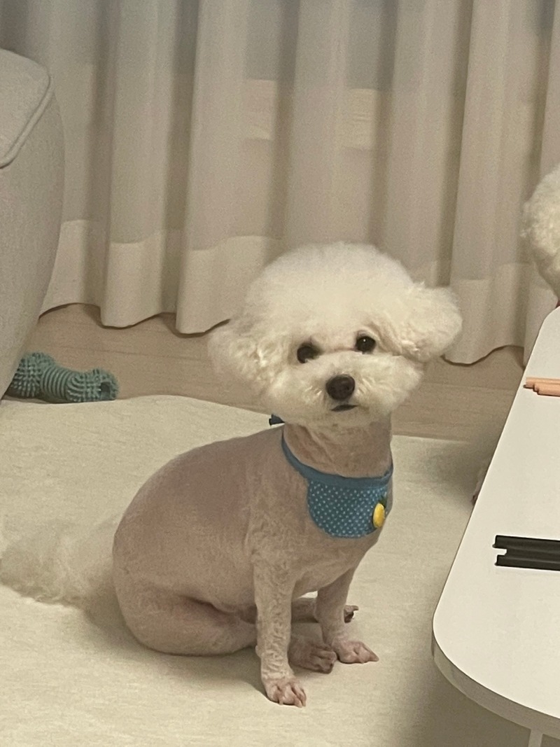 먹을거 달라구!