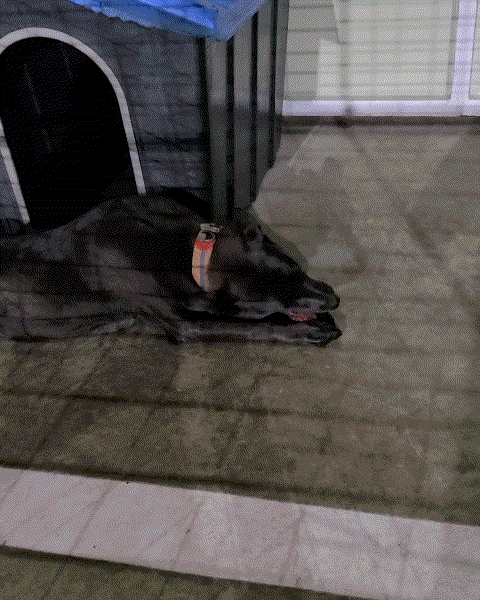 초ㅣ애1.gif