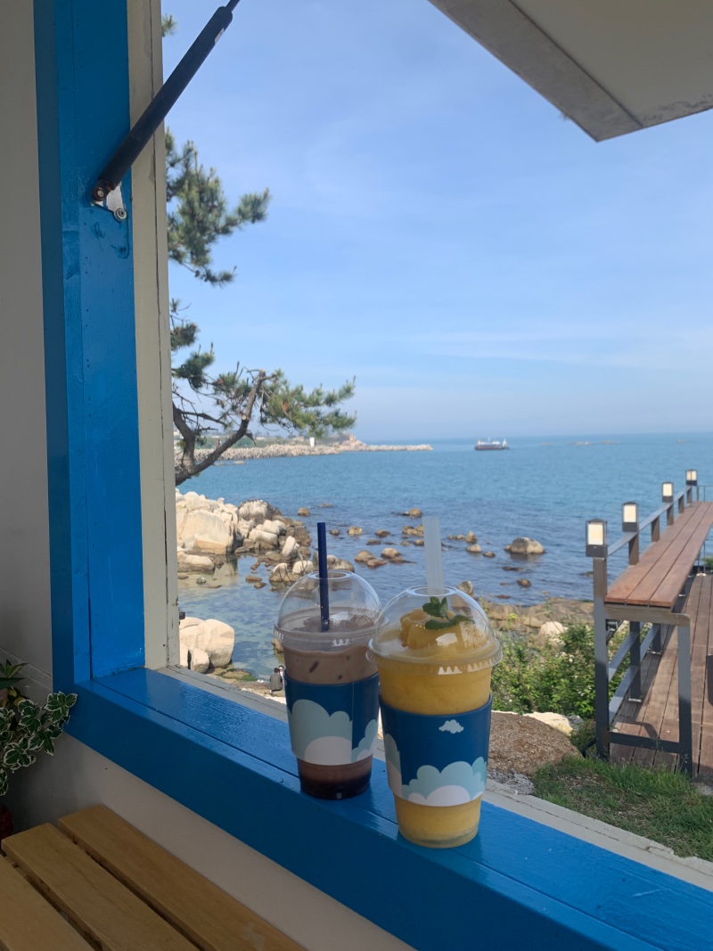 울산 애견동반 카페 히든블루 