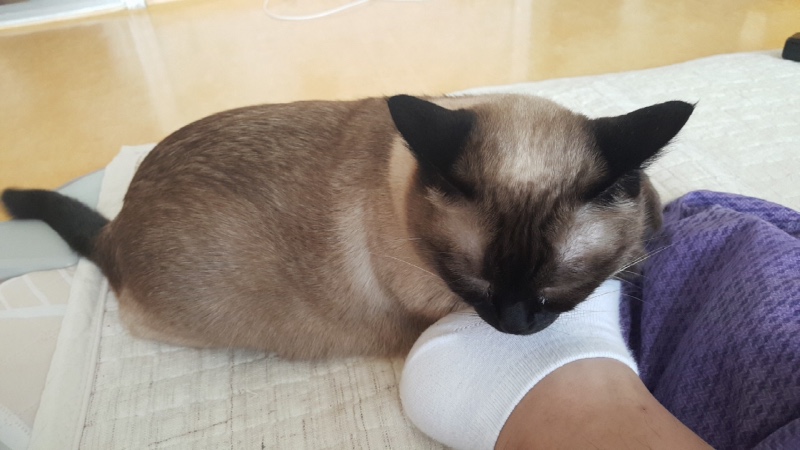 봄이