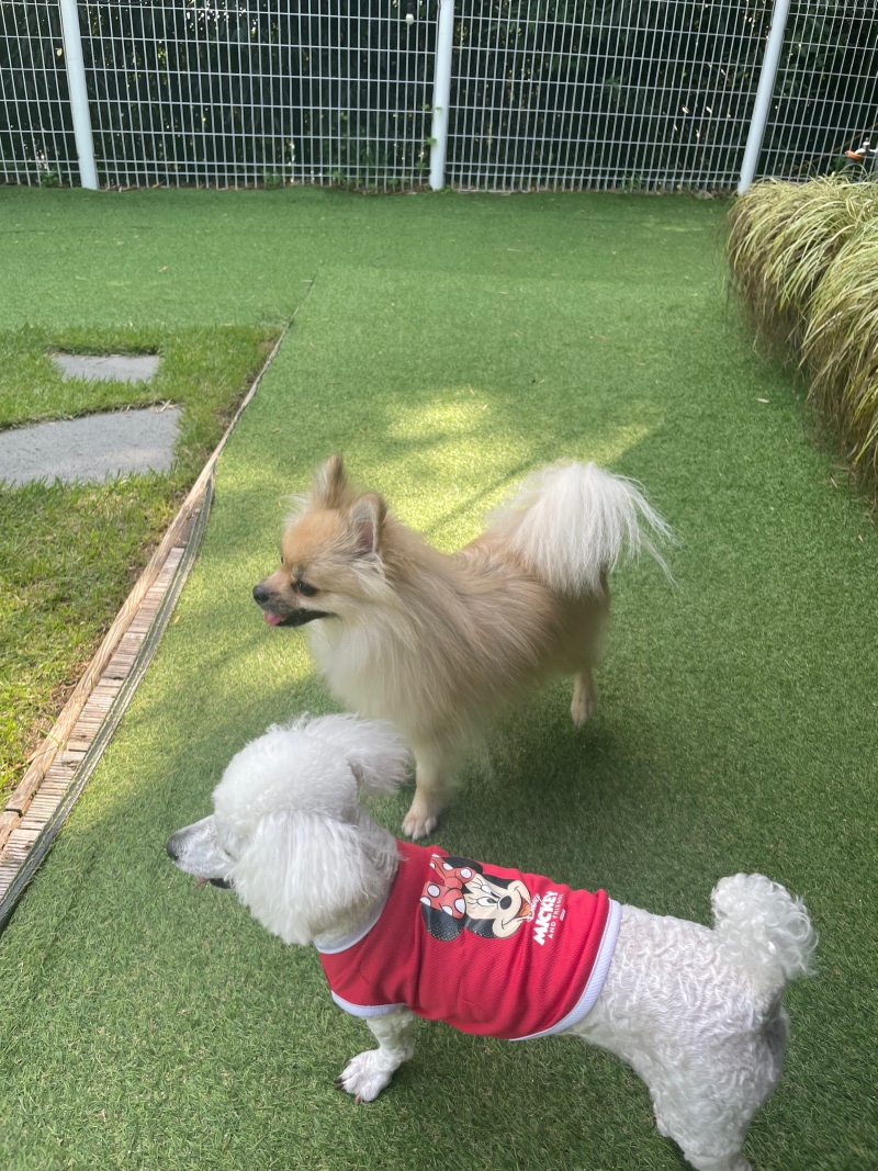 울산 울주군 서생 애견카페 문그로우농원