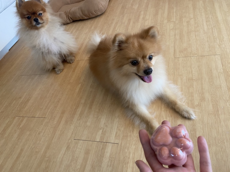 AEDF81AA-D24C-480D-8060-84918D6D6B46.jpeg