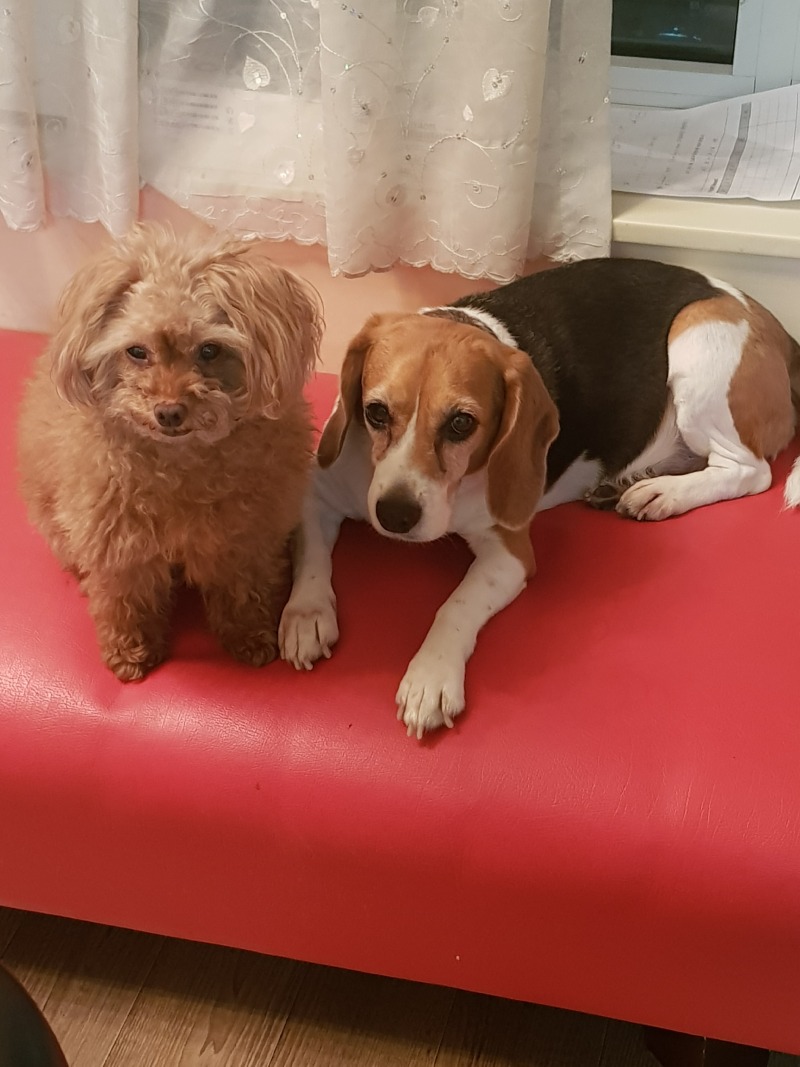 20180418_210418.jpg