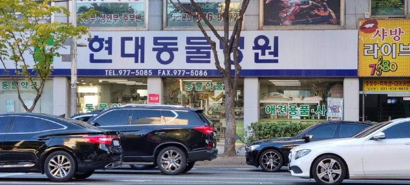 현대동물병원