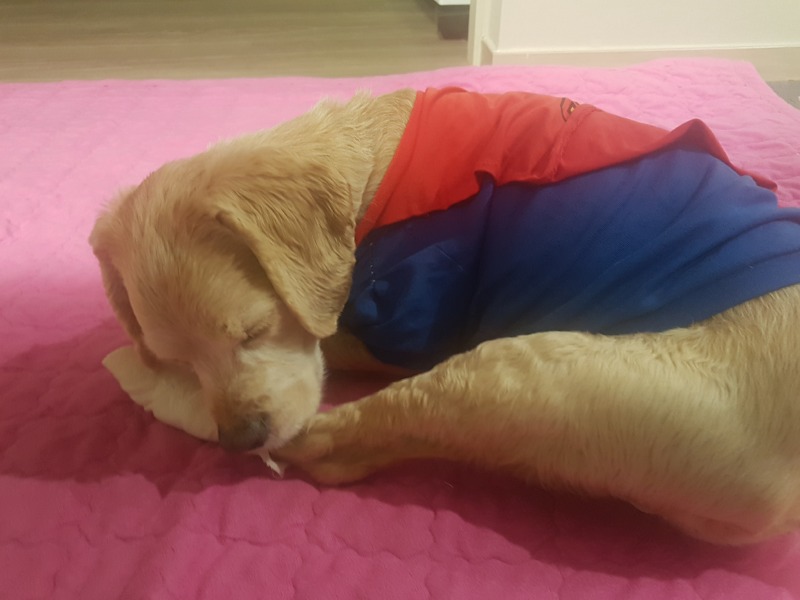 20190306_210852.jpg
