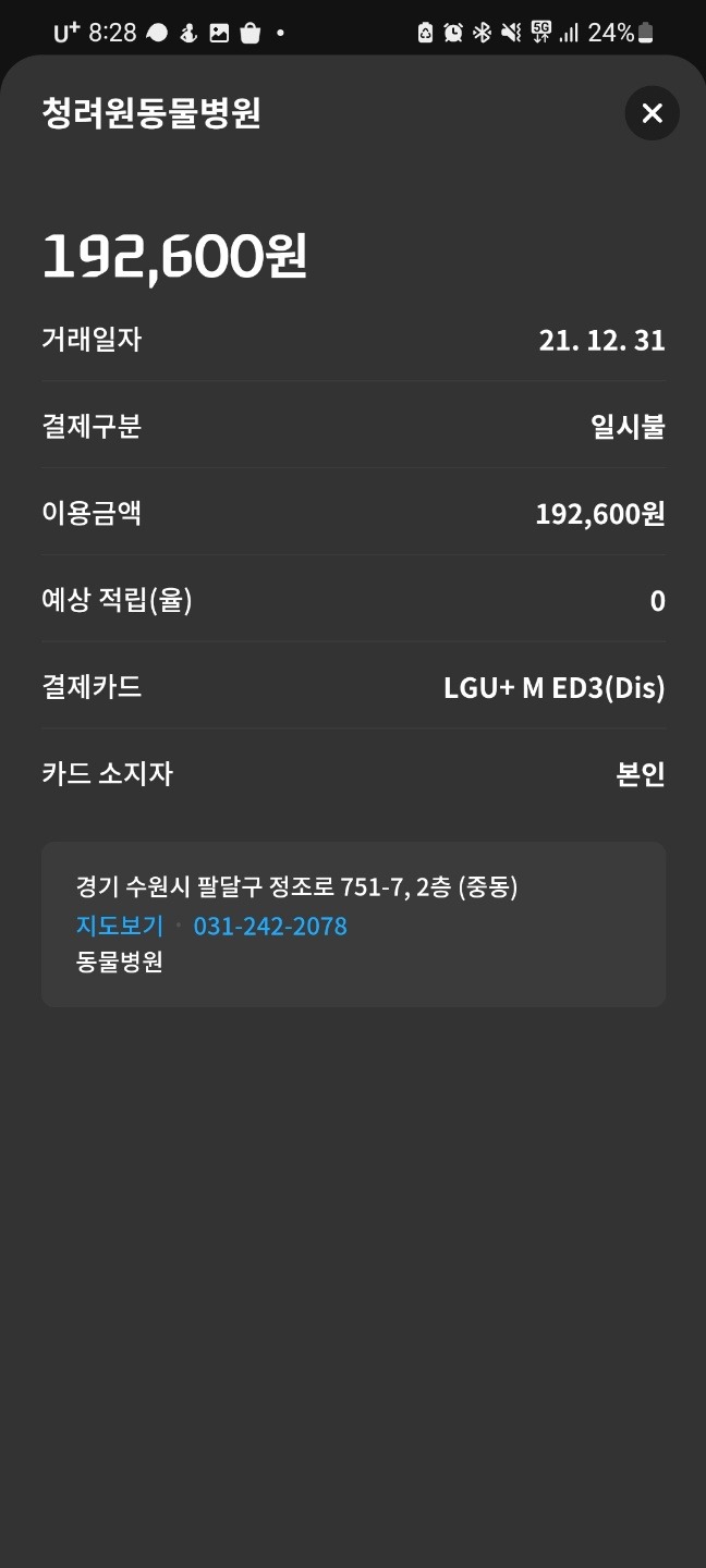 수원 청려원동물병원 꾸준히 다녀요