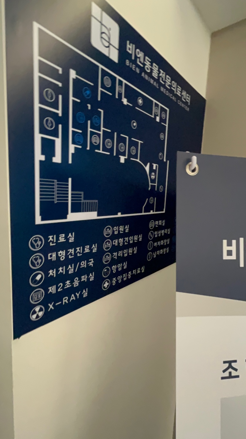 역곡역 근처 비엔동물병원