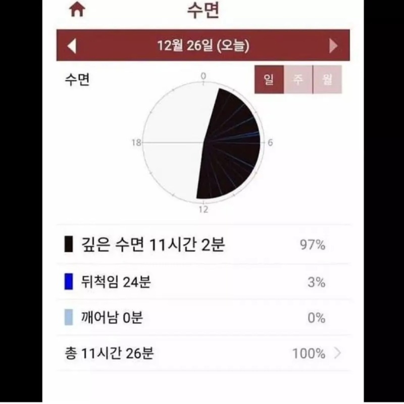고양이에게 애플워치를 채워봤다.