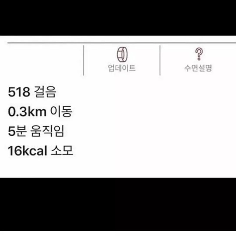 고양이에게 애플워치를 채워봤다.