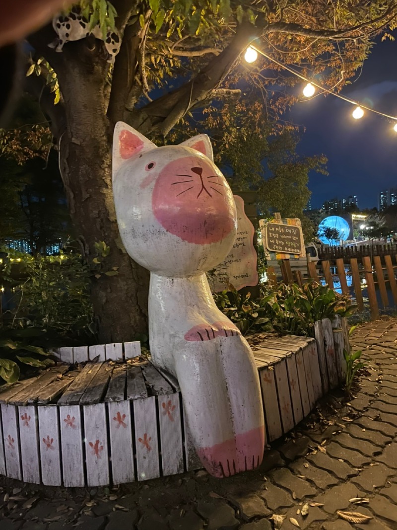 김포 카페 야행성 (고양이/강아지/물고기/토끼 등)