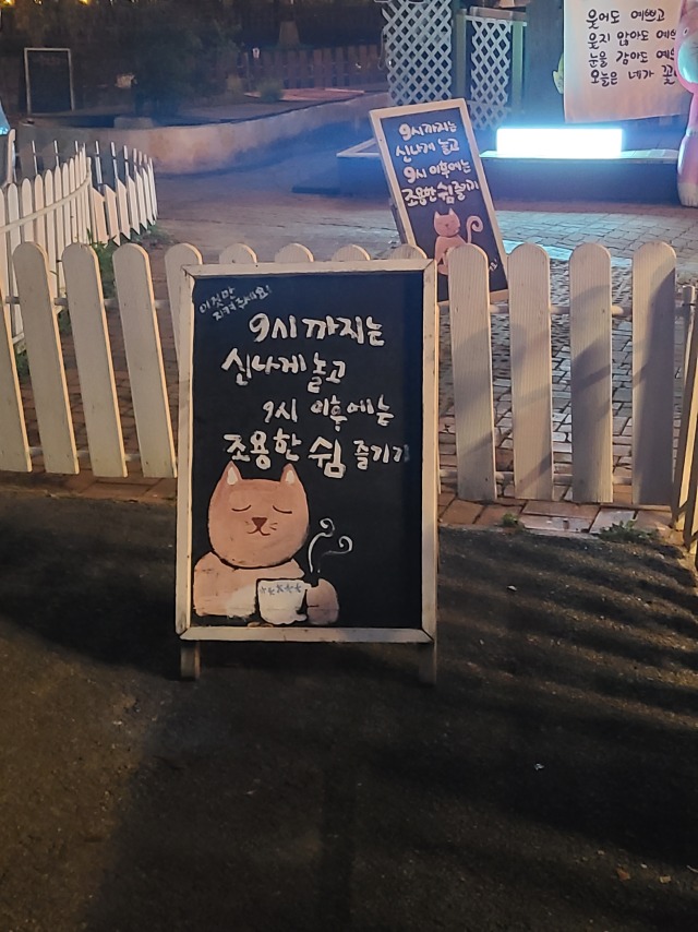 김포 카페 야행성 (고양이/강아지/물고기/토끼 등)