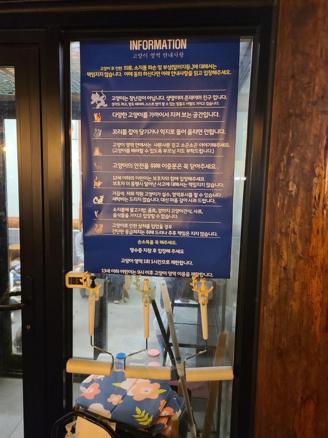 김포 카페 야행성 (고양이/강아지/물고기/토끼 등)