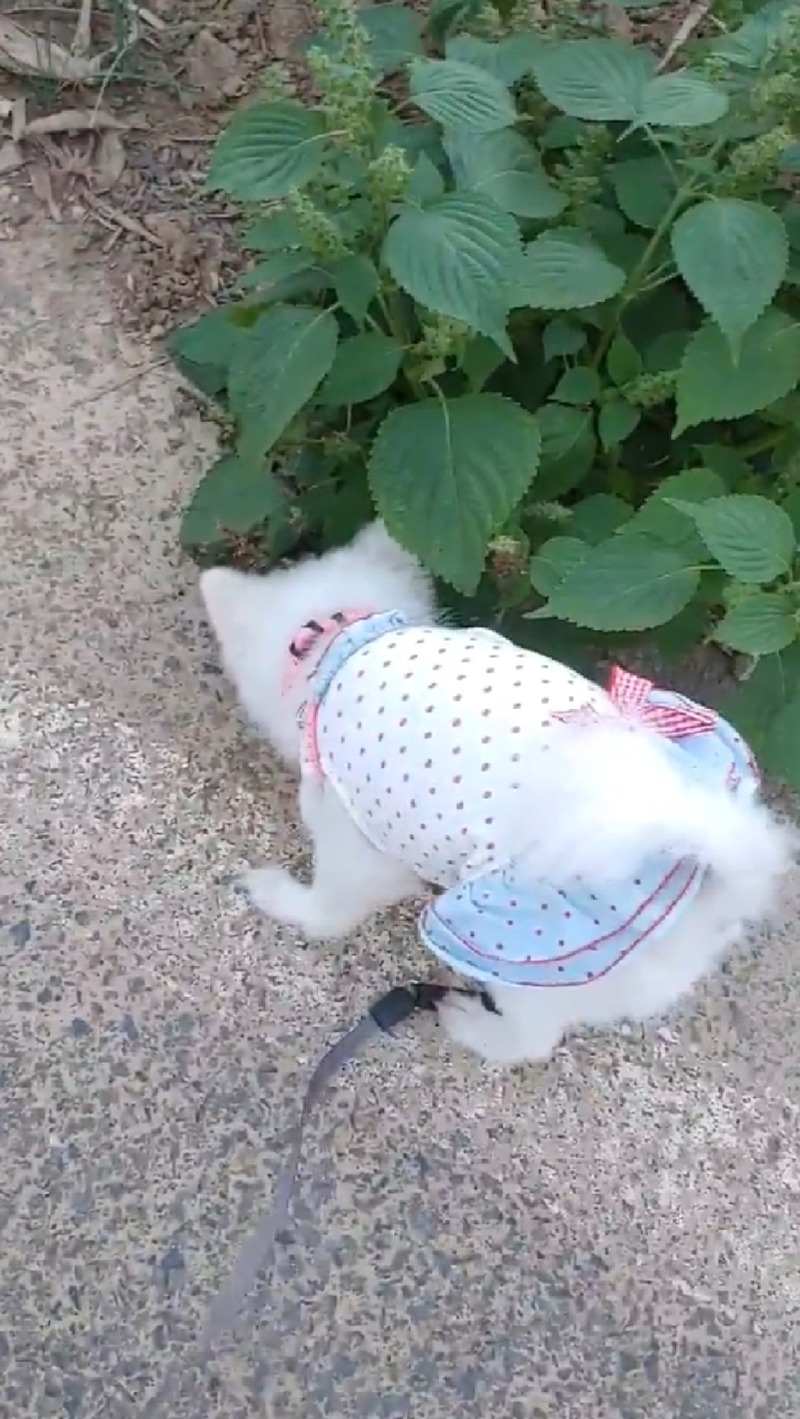 우리아이는 성격이 급해요