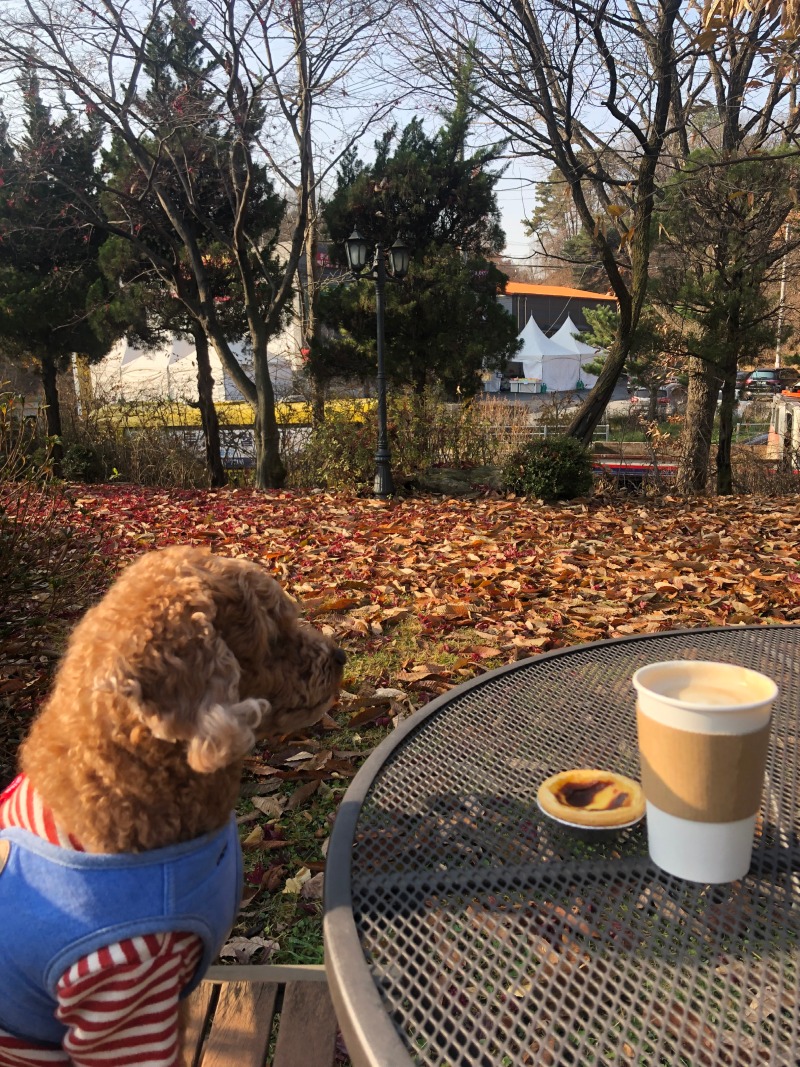 울집 막둥이 웃깁니다.