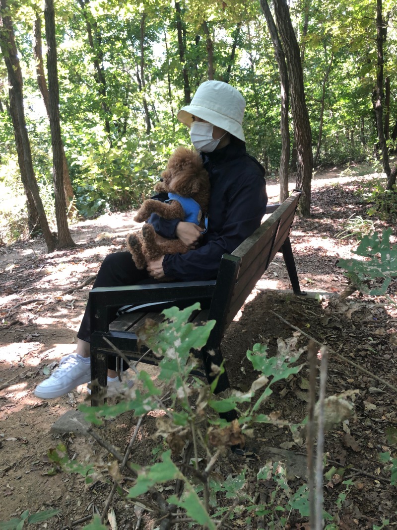 울집 막둥이 웃깁니다.