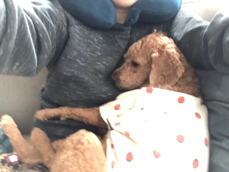 울집 막둥이 웃깁니다.