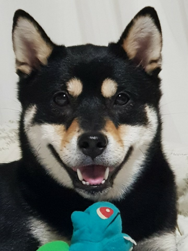 KakaoTalk_20221006_112659782_03  조절.png
