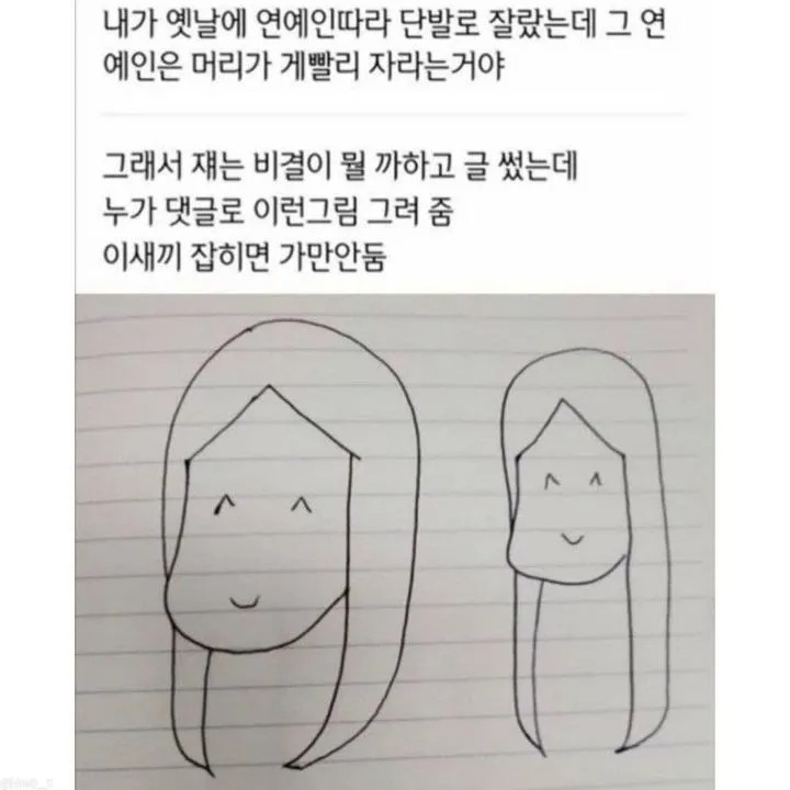 연예인 머리가 빨리 자라는(?) 이유