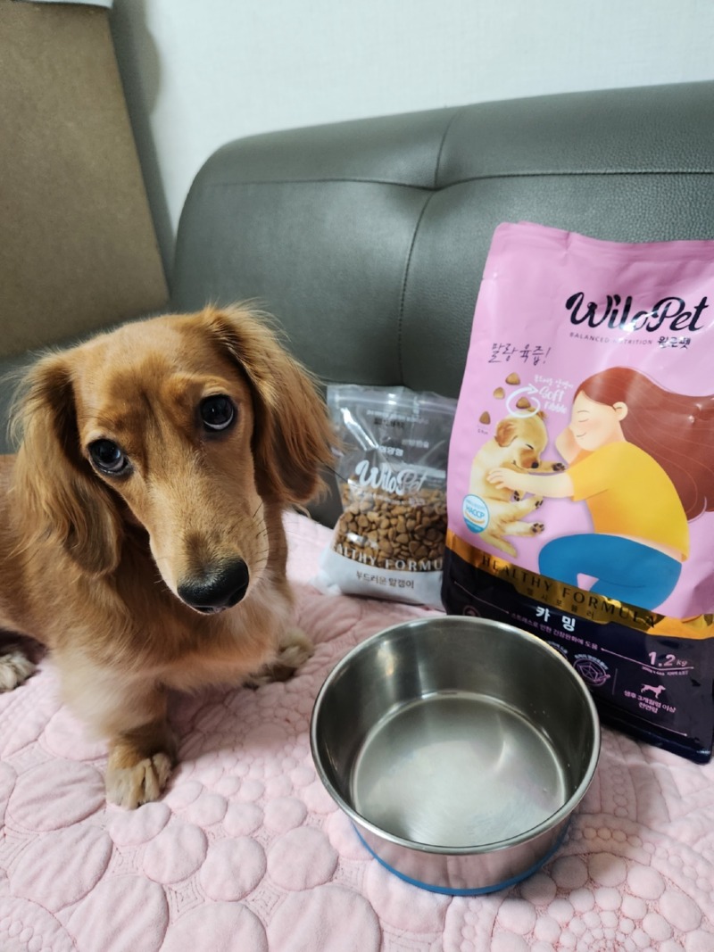 콩이와 하트