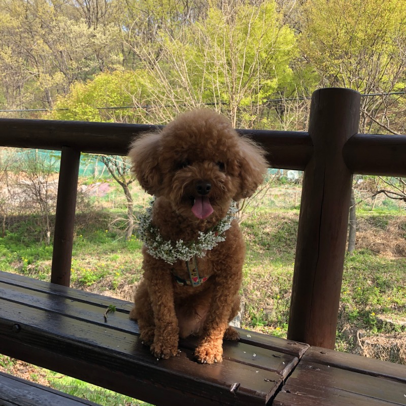 사랑그자체