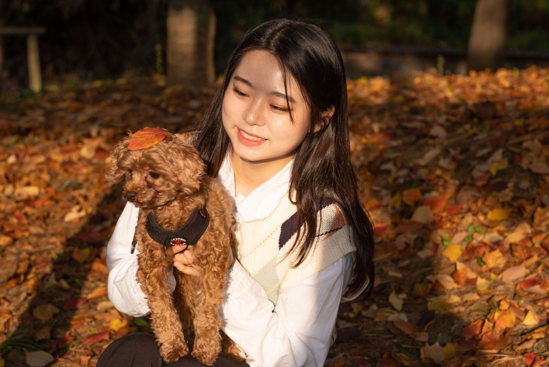 반려동물과 함께하는 스냅사진 관심있는 분!!! 