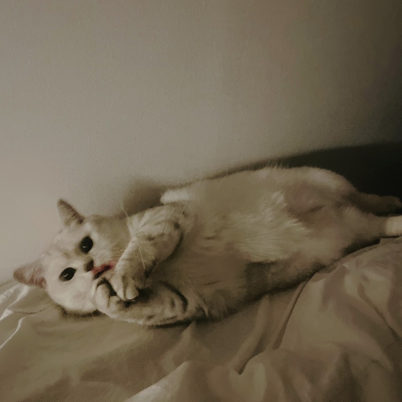 눕방칸쵸