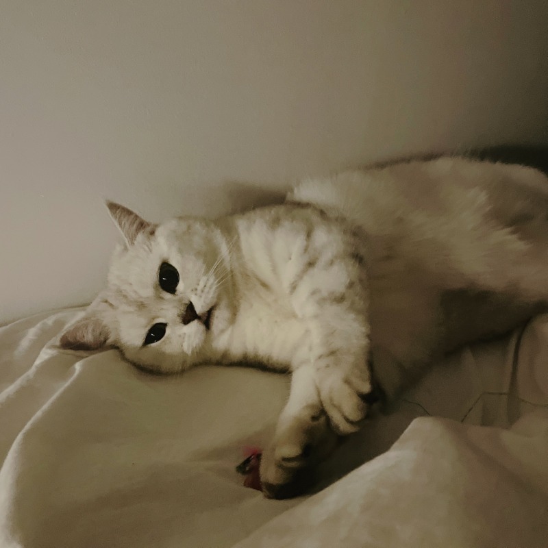 눕방칸쵸