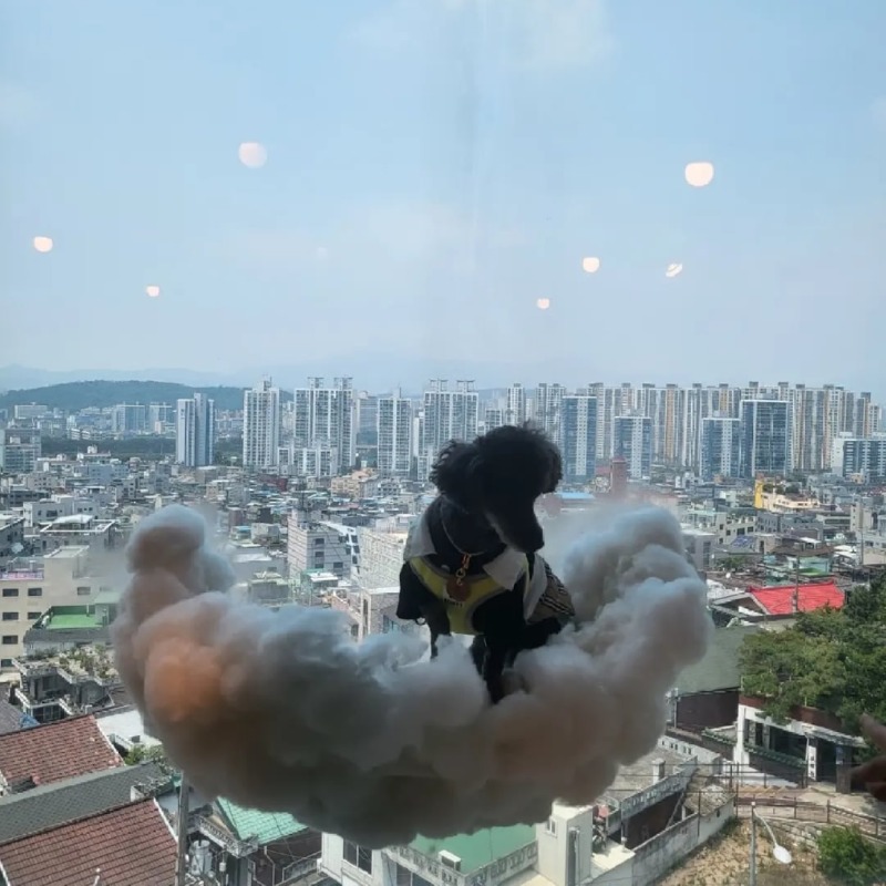 우리 집 막냉