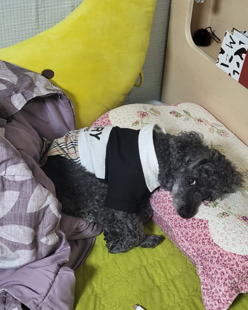우리 집 막냉